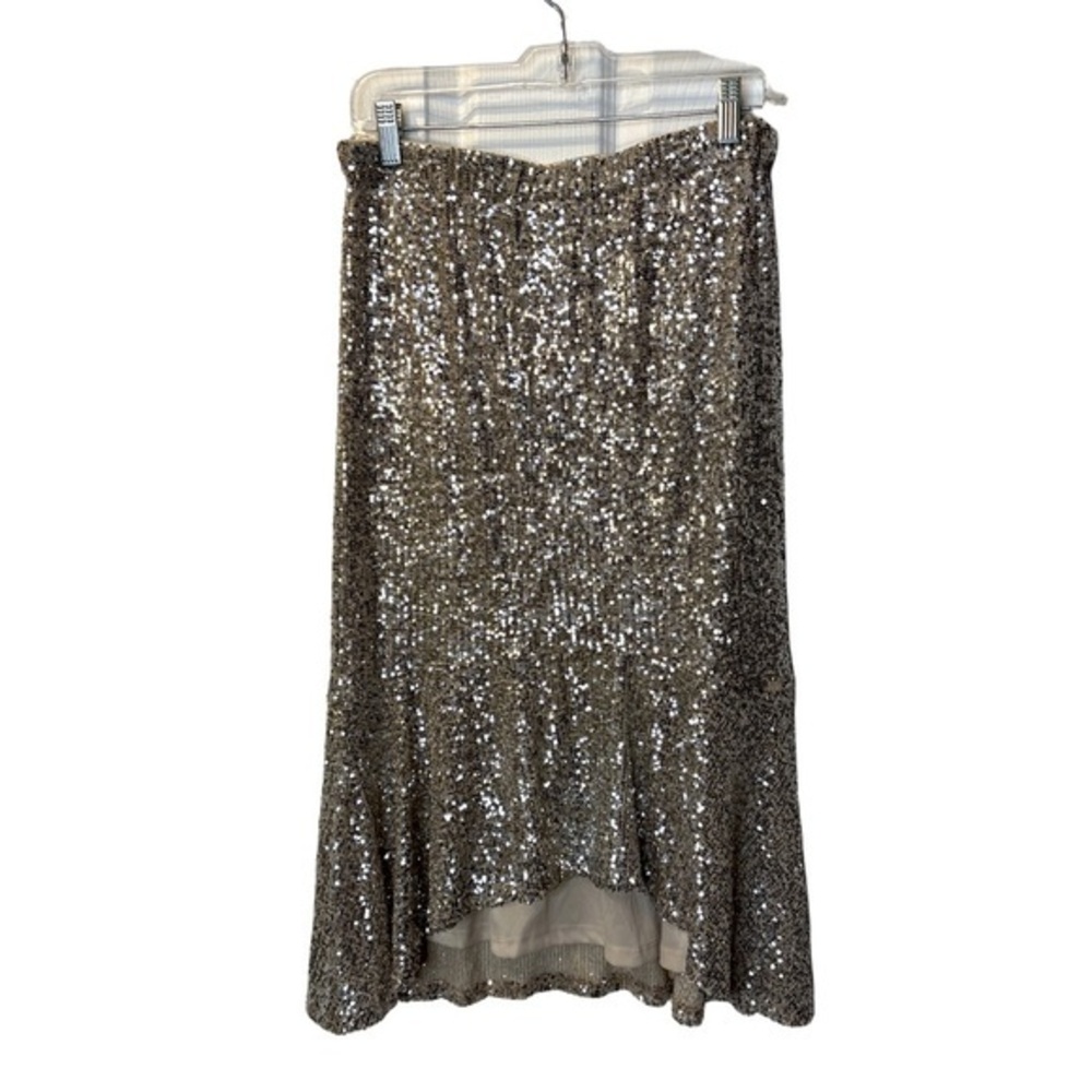 ⭐️- Cable & Gauge Silver Sequin Midi Skirt- size small (tiny flaw